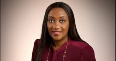 Modupe Elebute-Odunsi: I left the UK to reshape Nigerian cancer care — not to run Lagoon Hospital 
