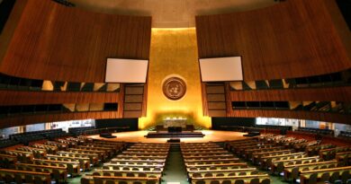 UN Backs African Push to Keep Mineral Wealth at Home 